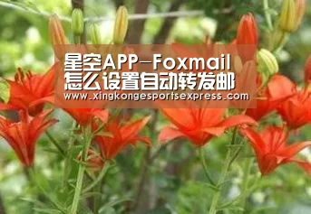 星空APP-Foxmail怎么设置自动转发邮件到另一个账户(图3) 星空直播