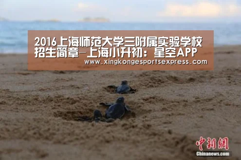 2016上海师范大学三附属实验学校招生简章-上海小升初:星空APP(图3) 星空赛事