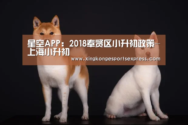 星空APP:2018奉贤区小升初政策-上海小升初(图1) 星空官网